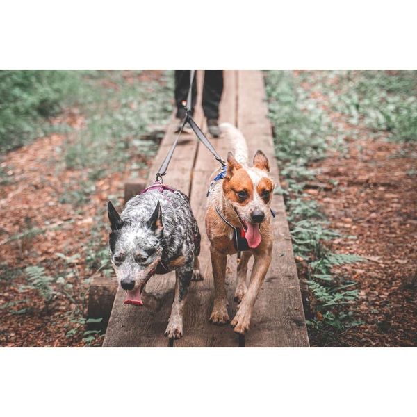 Hovedbilde Non-stop Touring Double 23mm