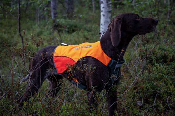 Hovedbilde Non-stop protector vest